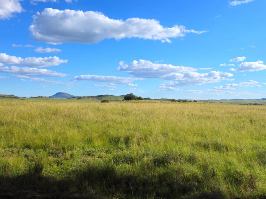 Commercial Property for Sale in Ladybrand Free State